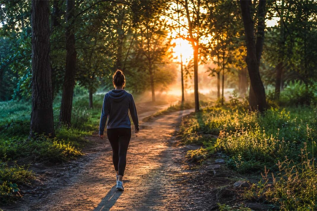 One Foot in Front of the Other- How Walking Rewires a Worried Mind