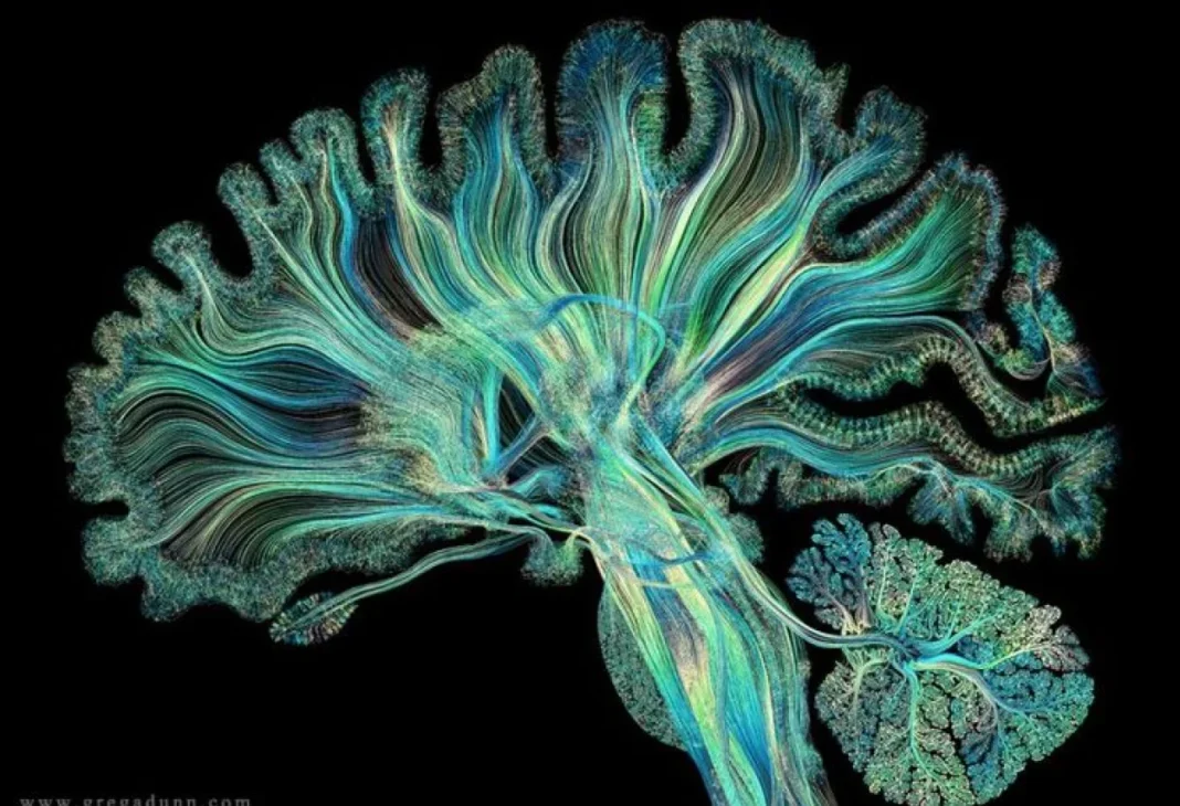 From Clinical Observation to Online Movement: Maladaptive Daydreaming as a Case Study in Science Communication - Psychology Times Görseli Exploring maladaptive daydreaming phenomenon in psychology