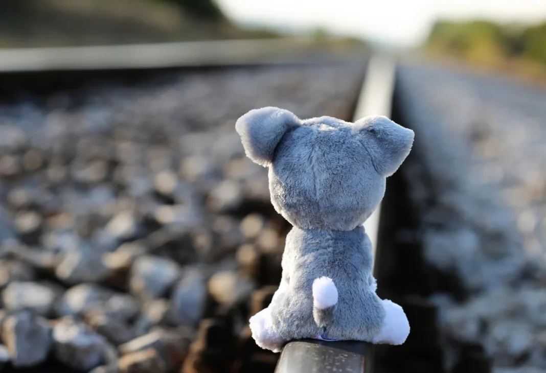 trauma bonding — Psychology Times psychology article image